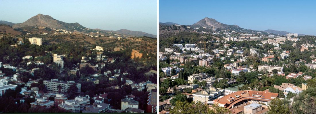 Valle-del-Limonar_1983-2023-0